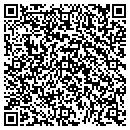 QR code with Public Storage contacts