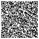 QR code with Public Storage contacts