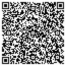 QR code with Public Storage contacts