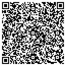 QR code with Public Storage contacts