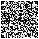 QR code with Public Storage contacts