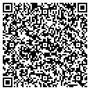 QR code with Public Storage contacts