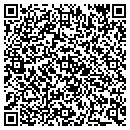 QR code with Public Storage contacts