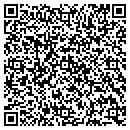 QR code with Public Storage contacts