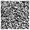 QR code with Public Storage contacts