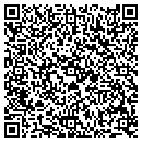 QR code with Public Storage contacts