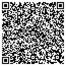 QR code with Public Storage contacts