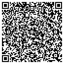 QR code with Public Storage contacts