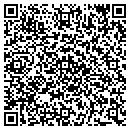 QR code with Public Storage contacts