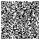 QR code with Public Storage contacts