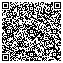 QR code with Public Storage contacts
