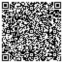 QR code with Public Storage contacts