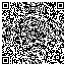 QR code with Public Storage contacts