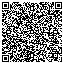 QR code with Public Storage contacts