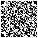 QR code with Public Storage contacts