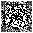 QR code with Public Storage contacts