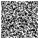 QR code with Public Storage contacts