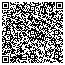 QR code with Public Storage contacts