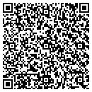 QR code with Public Storage contacts