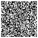 QR code with Public Storage contacts