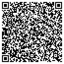 QR code with Public Storage contacts