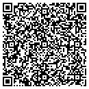 QR code with Public Storage contacts