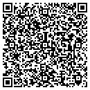 QR code with Capture Your Dreams contacts