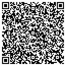 QR code with Public Storage contacts