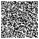 QR code with Public Storage contacts
