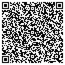 QR code with Public Storage contacts