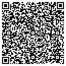 QR code with Public Storage contacts