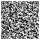 QR code with Public Storage contacts