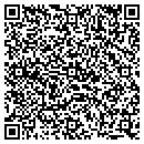 QR code with Public Storage contacts
