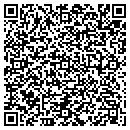 QR code with Public Storage contacts