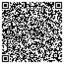QR code with Public Storage contacts