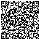 QR code with Public Storage contacts