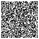 QR code with Public Storage contacts