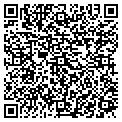 QR code with Tgg Inc contacts