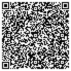 QR code with Badlands Tax Solutions Inc contacts