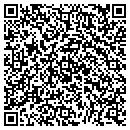 QR code with Public Storage contacts