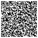 QR code with Public Storage contacts