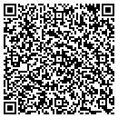 QR code with Public Storage contacts