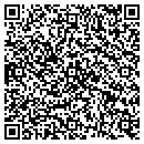 QR code with Public Storage contacts