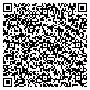 QR code with Public Storage contacts