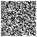QR code with Public Storage contacts