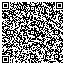 QR code with Public Storage contacts