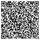 QR code with Cvd Construction Inc contacts