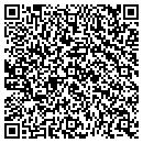 QR code with Public Storage contacts