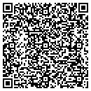 QR code with Public Storage contacts