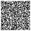 QR code with Public Storage contacts